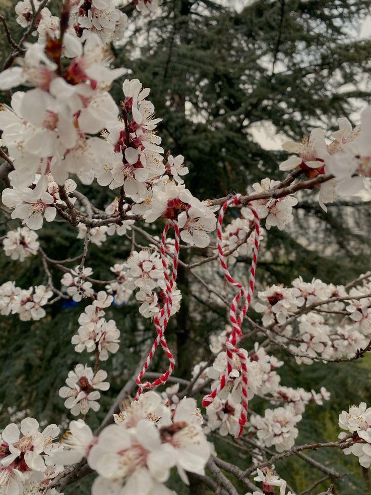 Marteniçka: Baharın Müjdecisi Geleneksel Bir Sembol