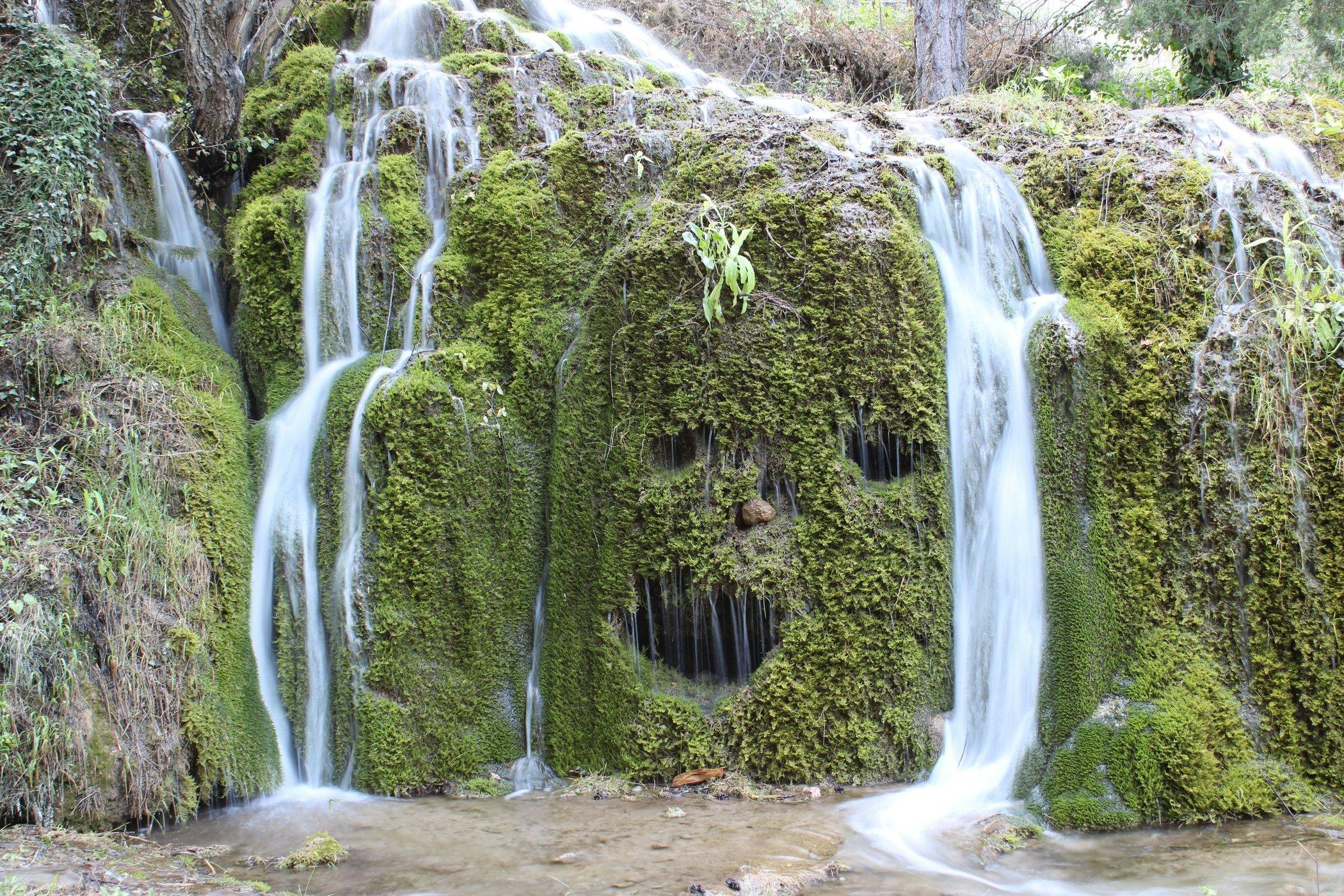 Etrafımızdaki Yüzler: Pareidolia Nedir?