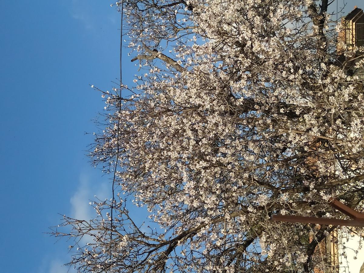 Datça'da Bir Anı: Yazarlık