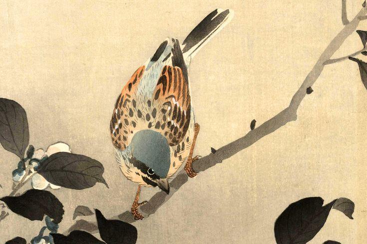 Ohara Koson ve Kuşları