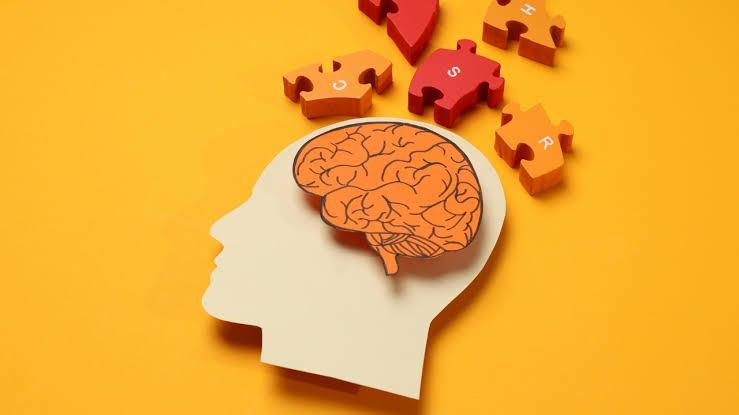 Tanımlamaların Sınırları