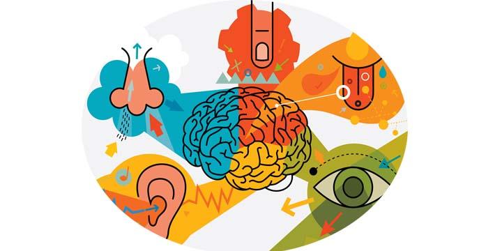 Duyusal Pazarlama Nedir?