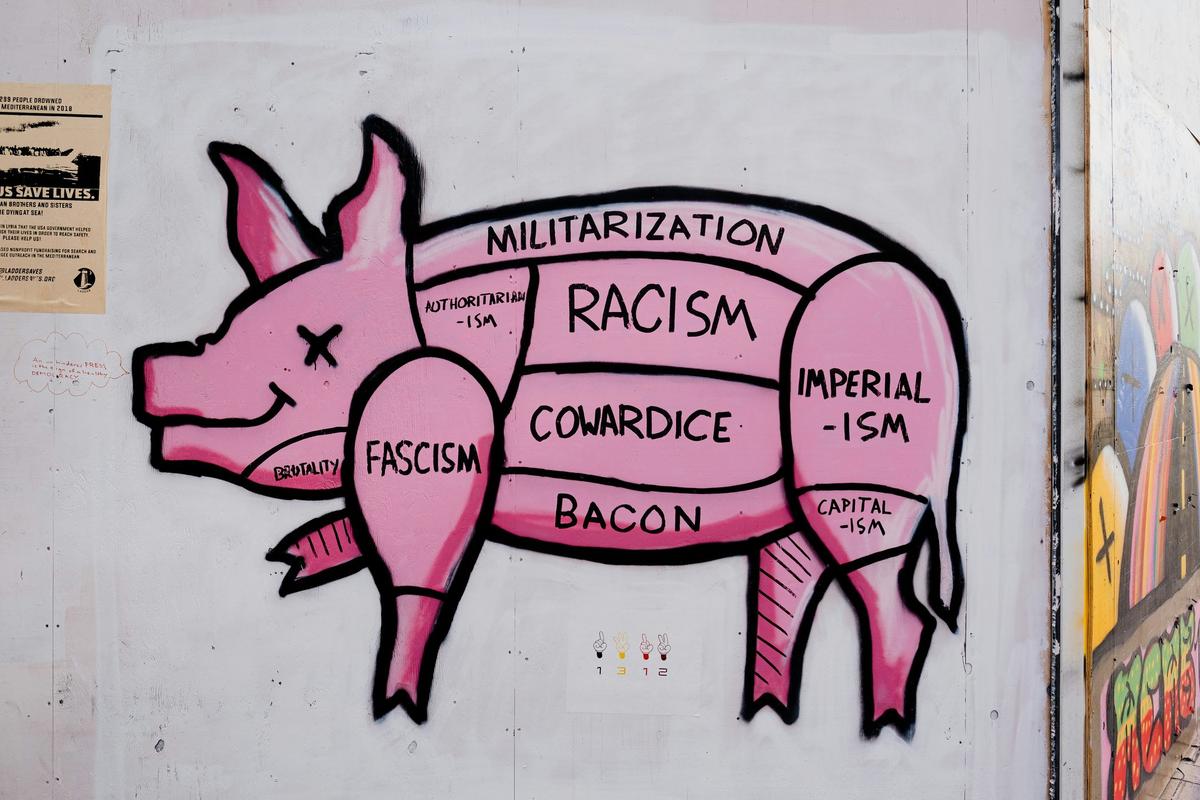 Ekofeminist Literatür Üzerine