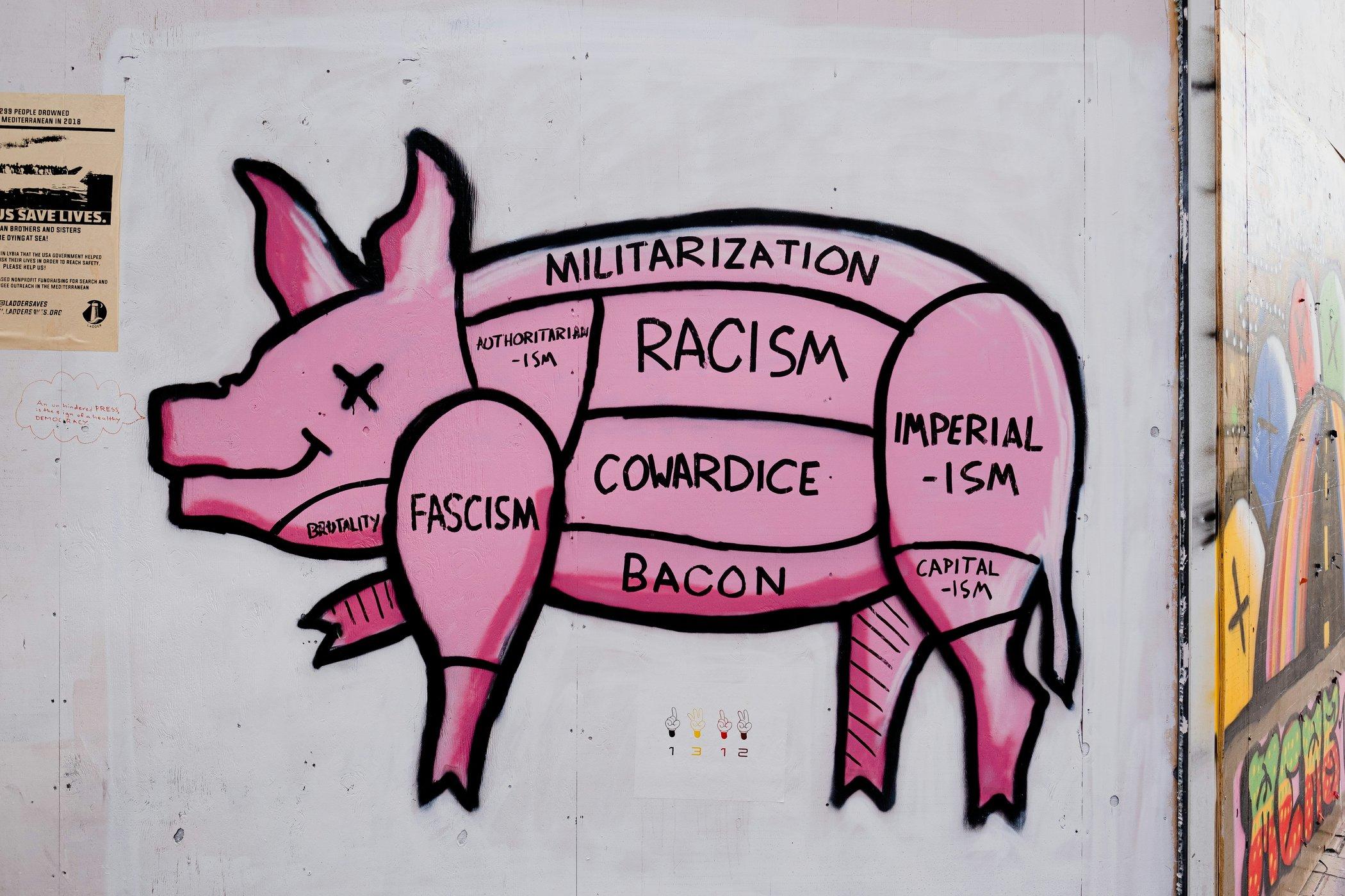 Ekofeminist Literatür Üzerine