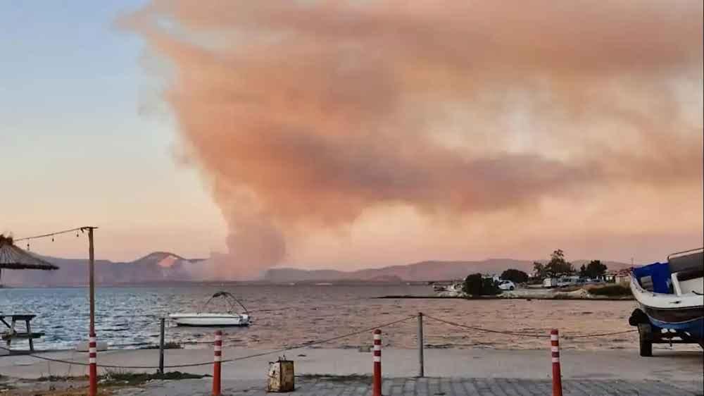 Memleket Yanarken Barda Eğlenenler, Sörf Yapanlar…