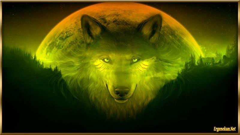 Bir Kurttan Bir Millete: Bozkurt Destanı