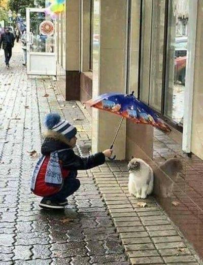 Mekteplerde İncitmemek Dersi Verilmeli