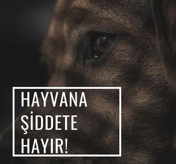 Cinayet Kabahat Değil Suçtur