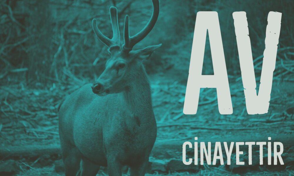 AV CİNAYETTİR YASAKLANMALI