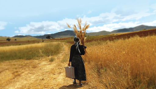 TÜRKÜLERİN HİKAYELERİ:"BURÇAK TARLASI" Bölüm 3