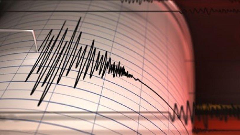 Endonezya'da 7.3 Büyüklüğünde Deprem