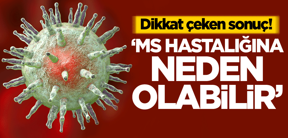 Dikkat Çeken Sonuç! 'MS Hastalığına Neden Olabilir'