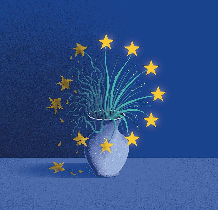 Which One Is It? Reformer or Regulator?