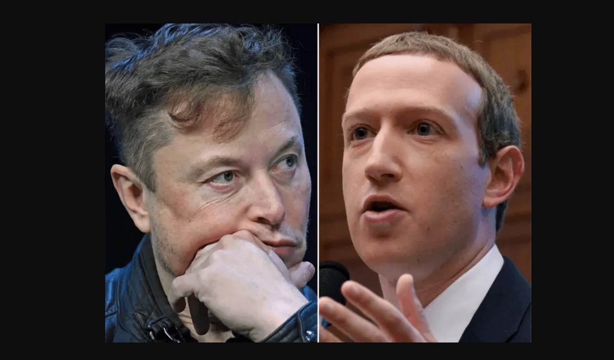 Bir İdol Olarak Elon Musk (tr. İlan Mask)