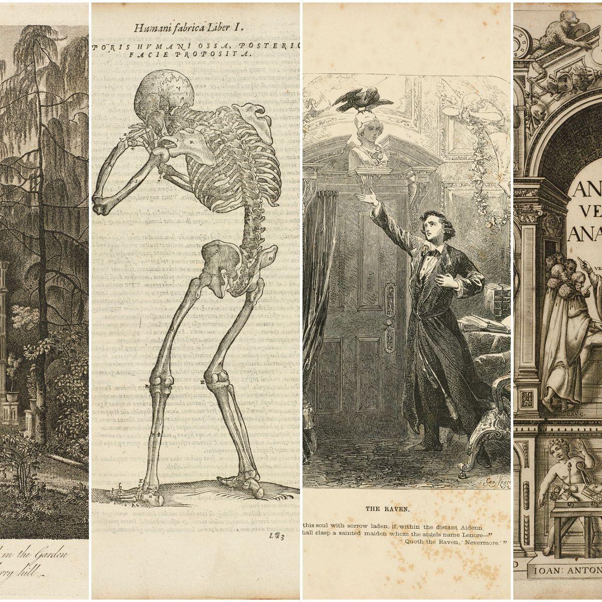 Romanticism and Dark Romanticism/Gothic Fiction