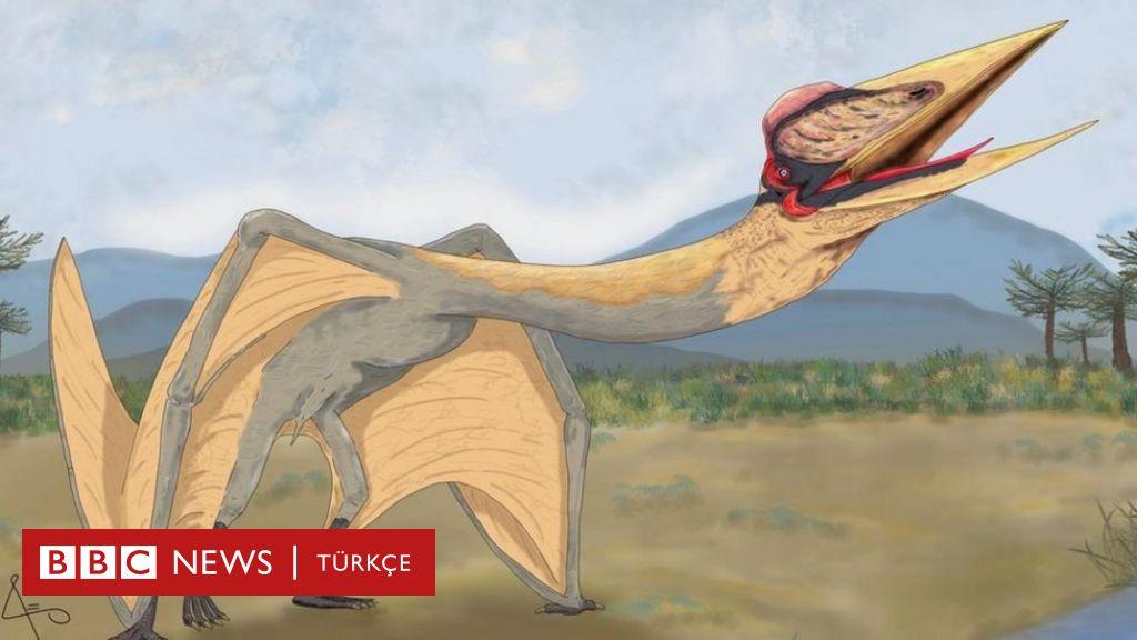 Ölüm Ejderhası'na Ait Fosil Kalıntılar Bulundu