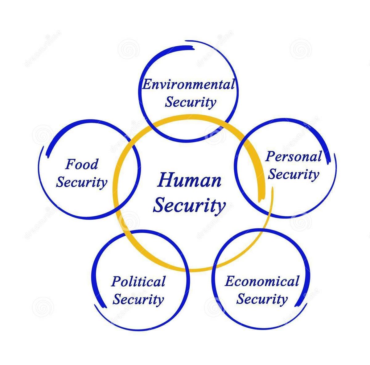 The Life Cycle of Human Security