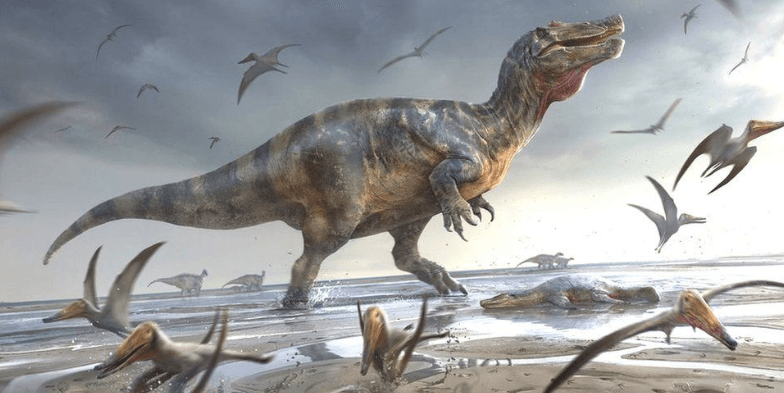 Avrupa'nın 'En Büyük' ​​Kara Dinozoru Wight Adası'nda Bulundu!