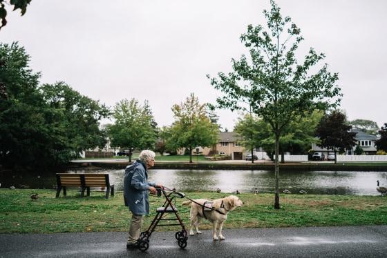92 Yaşındaki Annabelle Weis ve Hayat Arkadaşı: Rehber Köpeği Joe