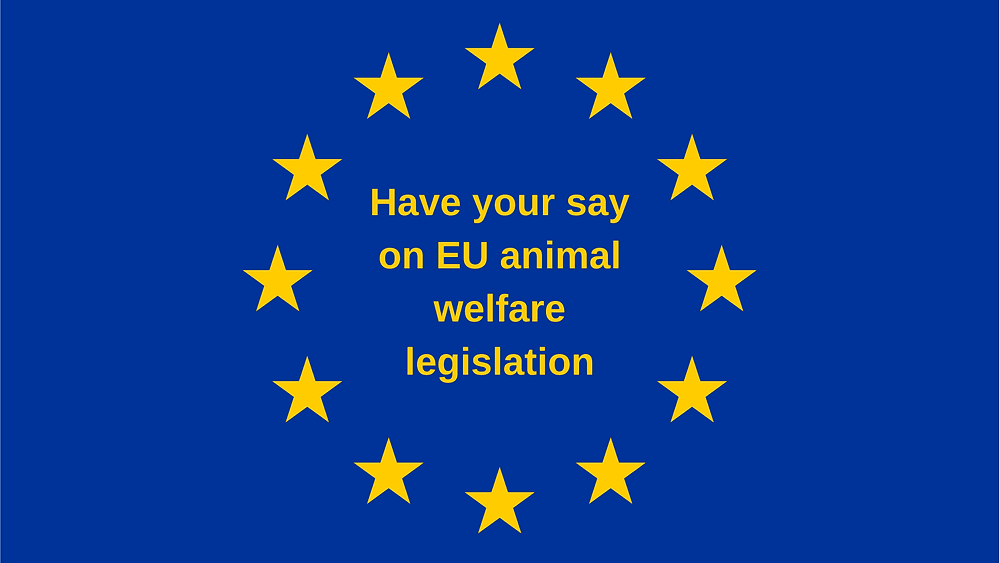 Sweden's Satisfactory Animal Welfare Law