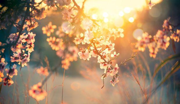 Bahardan Sergüzeşt