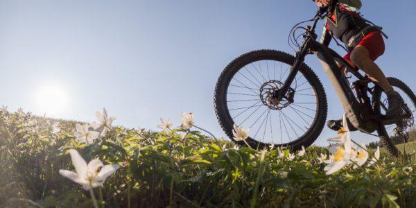 Ekstrem Sporlar: Dağ Bisikleti