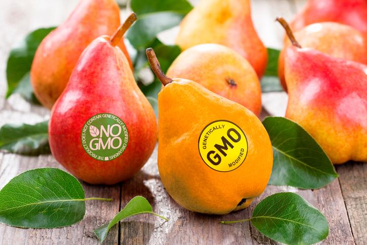 The Truth About GMO Foods