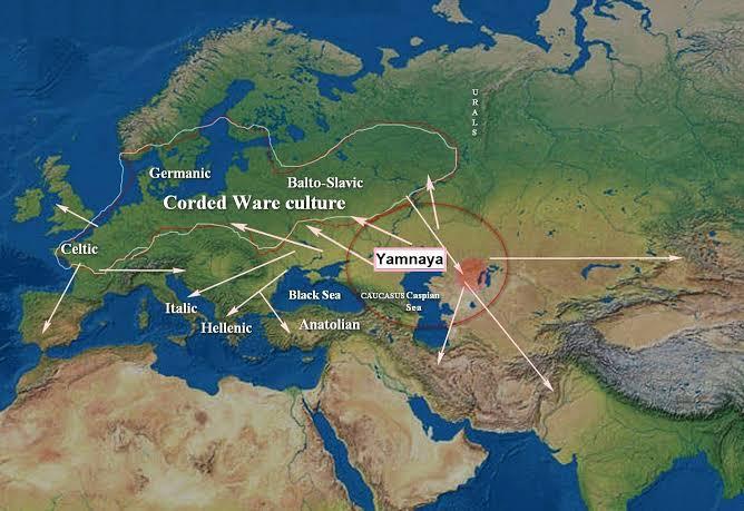 Süt tüketiminin altında yatan gerçek