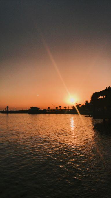 Bazı Harika Şarkılar