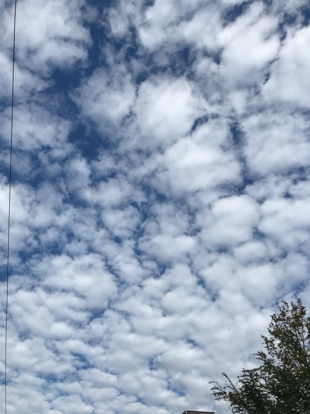 Bazı Podcast Önerileri