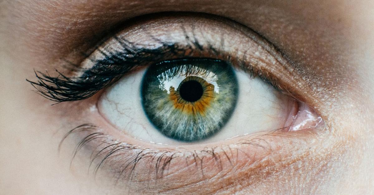 What Is the Correlation Between Light and Sight?