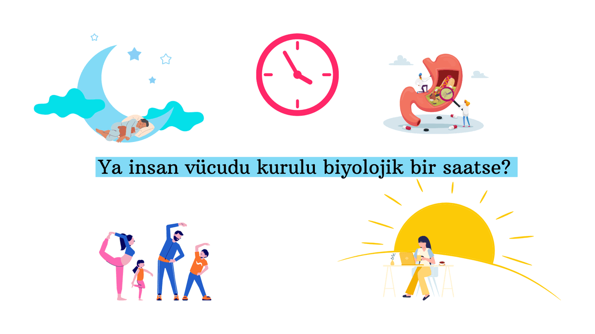 Sağlığımız İçin Neyi Ne Zaman Yapmalıyız?