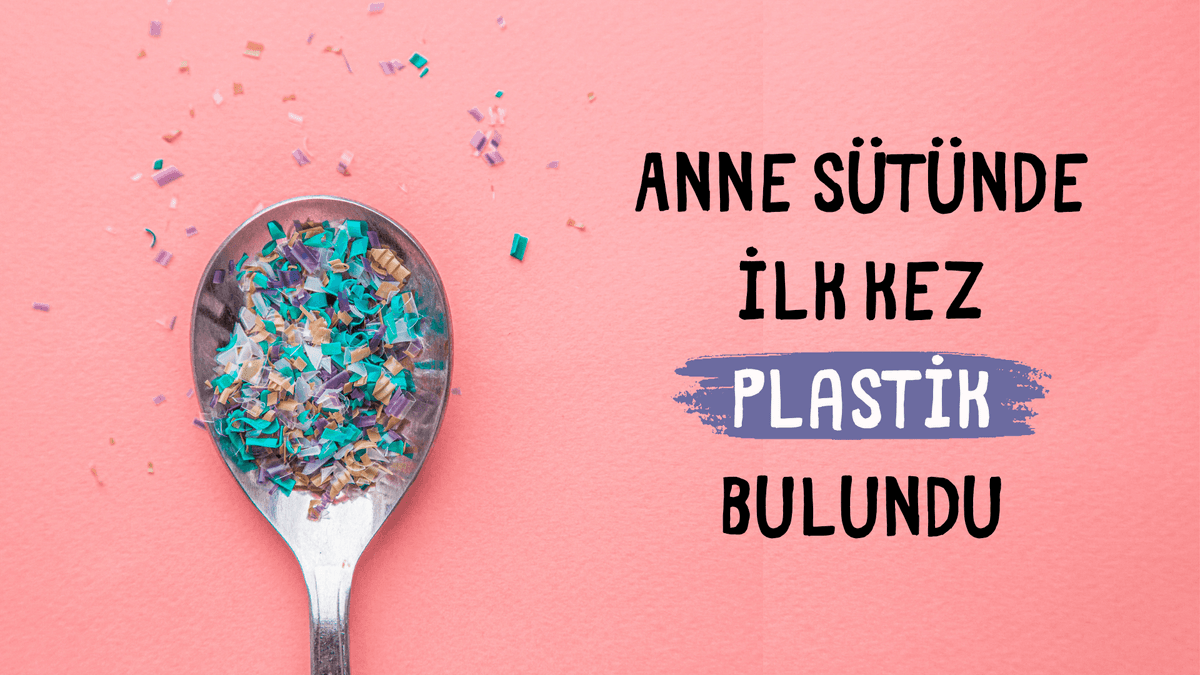 Bilim İnsanları İlk Kez Anne Sütünde Plastik Buldu