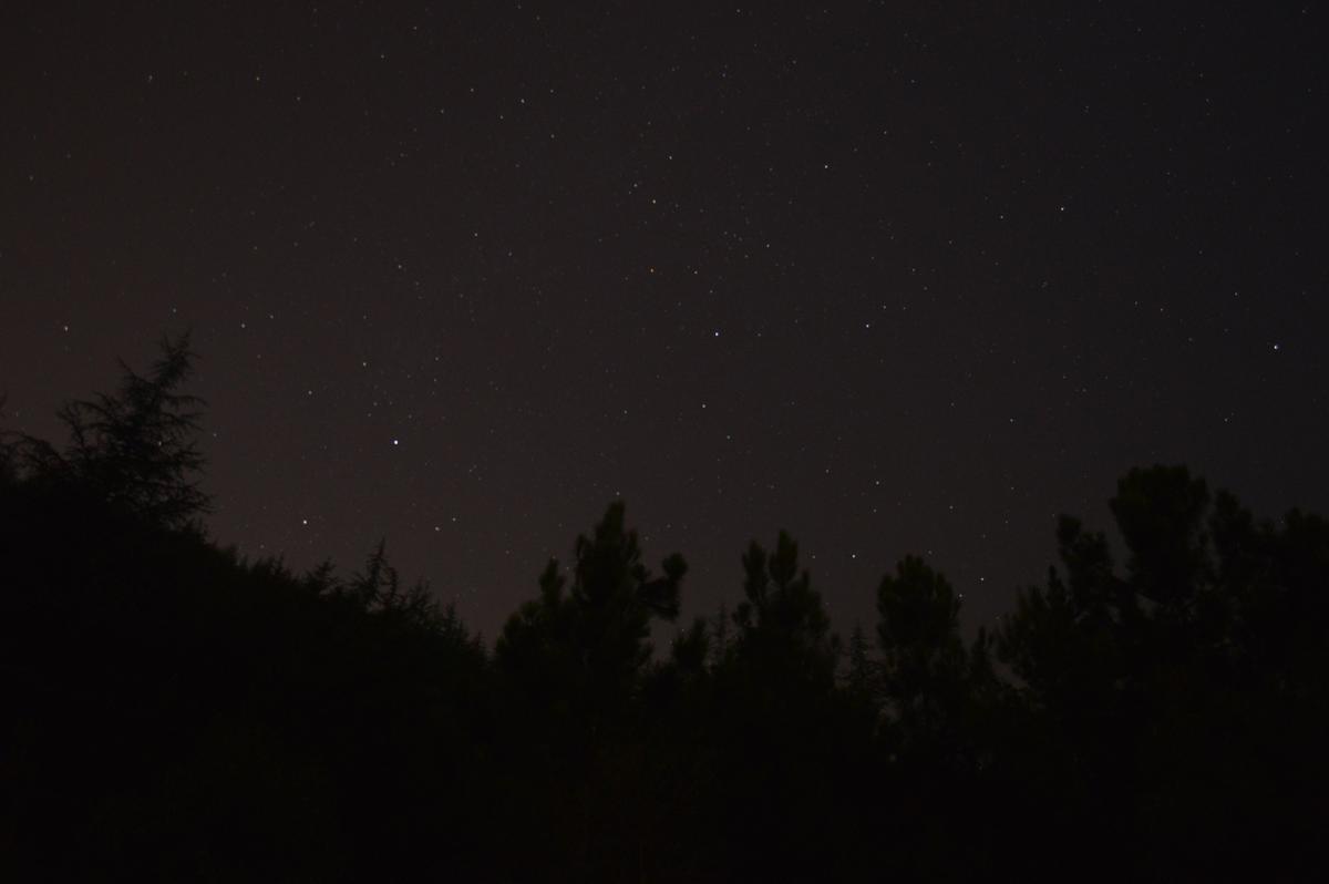 Düşünce Aktarımı: Mitler