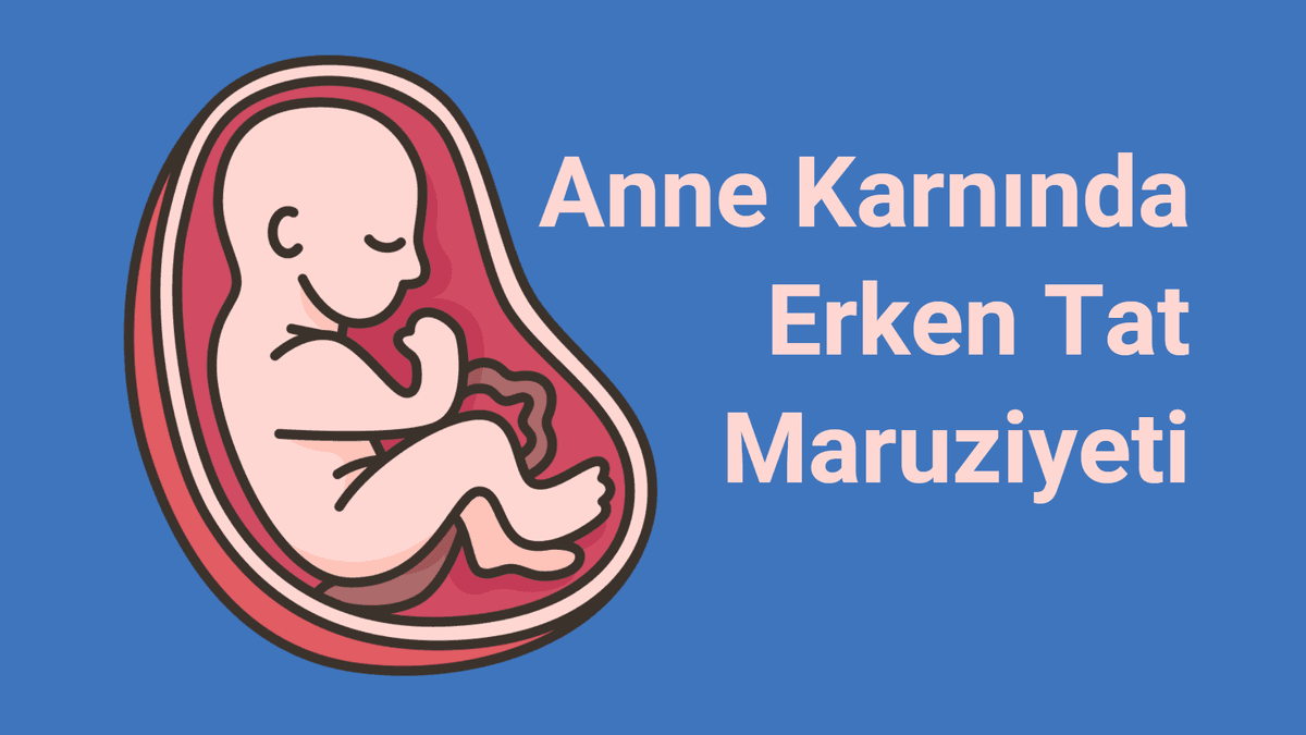 Bebekler Anne Karnında Tatları Öğrenebilir mi?