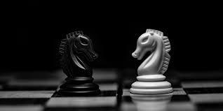 Yarı Başkanlık Hükümet Sistemi