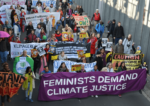 Ekofeminizm Nedir?