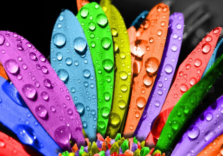 Renklerin  Tılsımı