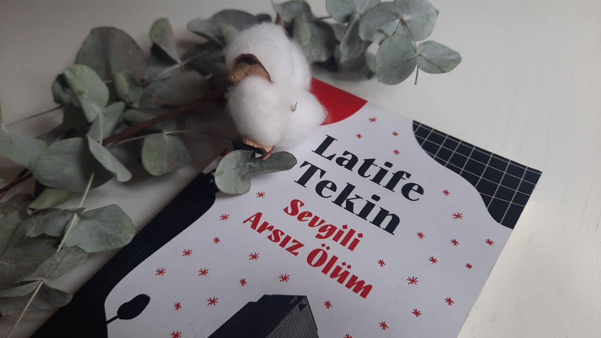 'Sevgili Arsız Ölüm' Üzerine