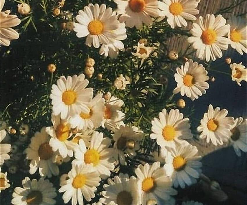 Müzeyyen Sude Ersarı