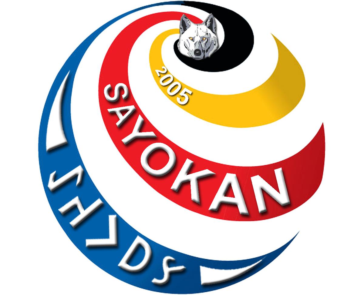 Türk Dövüş Sanatı Sayokan: Tarihi ve Özellikleri