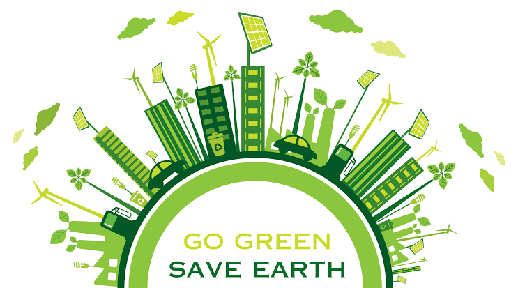 A Beginner's Guide: How To Be More Sustainable?