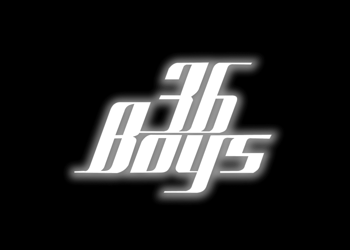Almanya'da Bir Türk Çetesi: 36 Boys