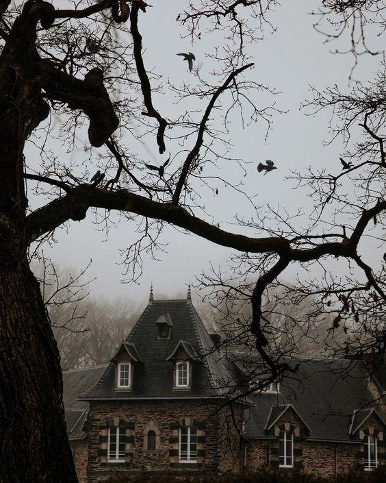 A Halloween Journey Through Gothic Literature: Part I - A Brief Introduction