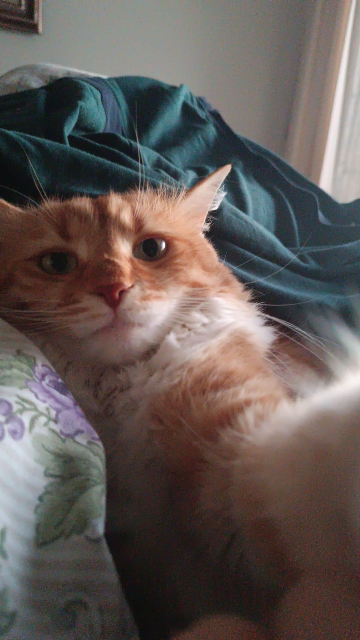 İlke Özgün Öztürk