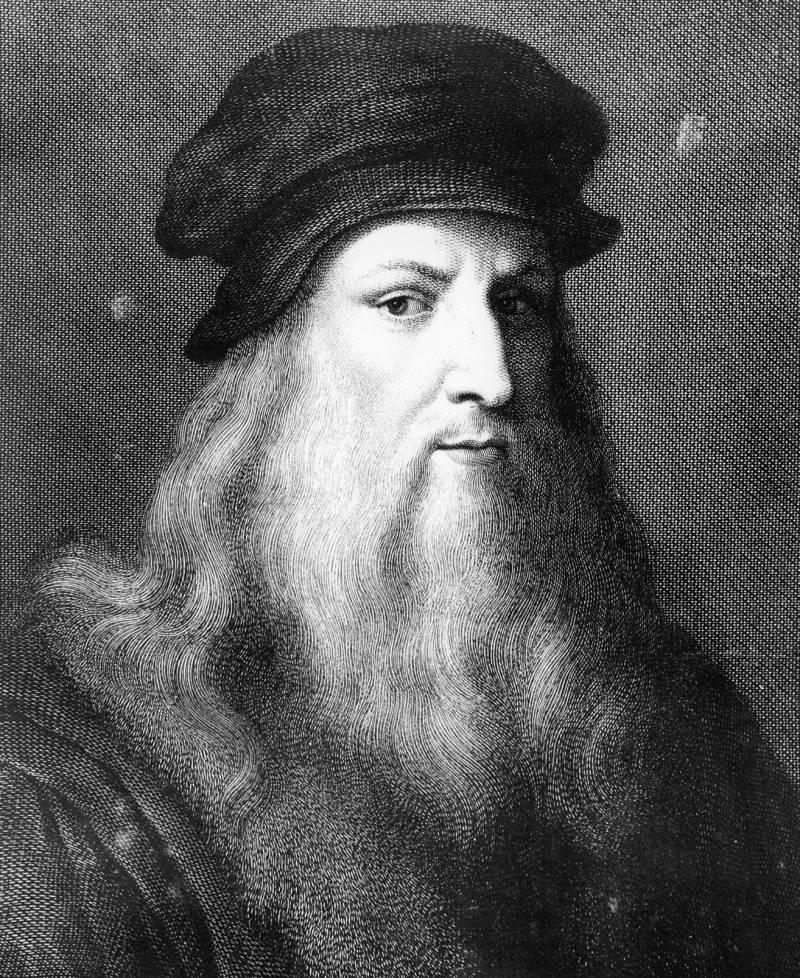 Leonardo da Vinci's Mother