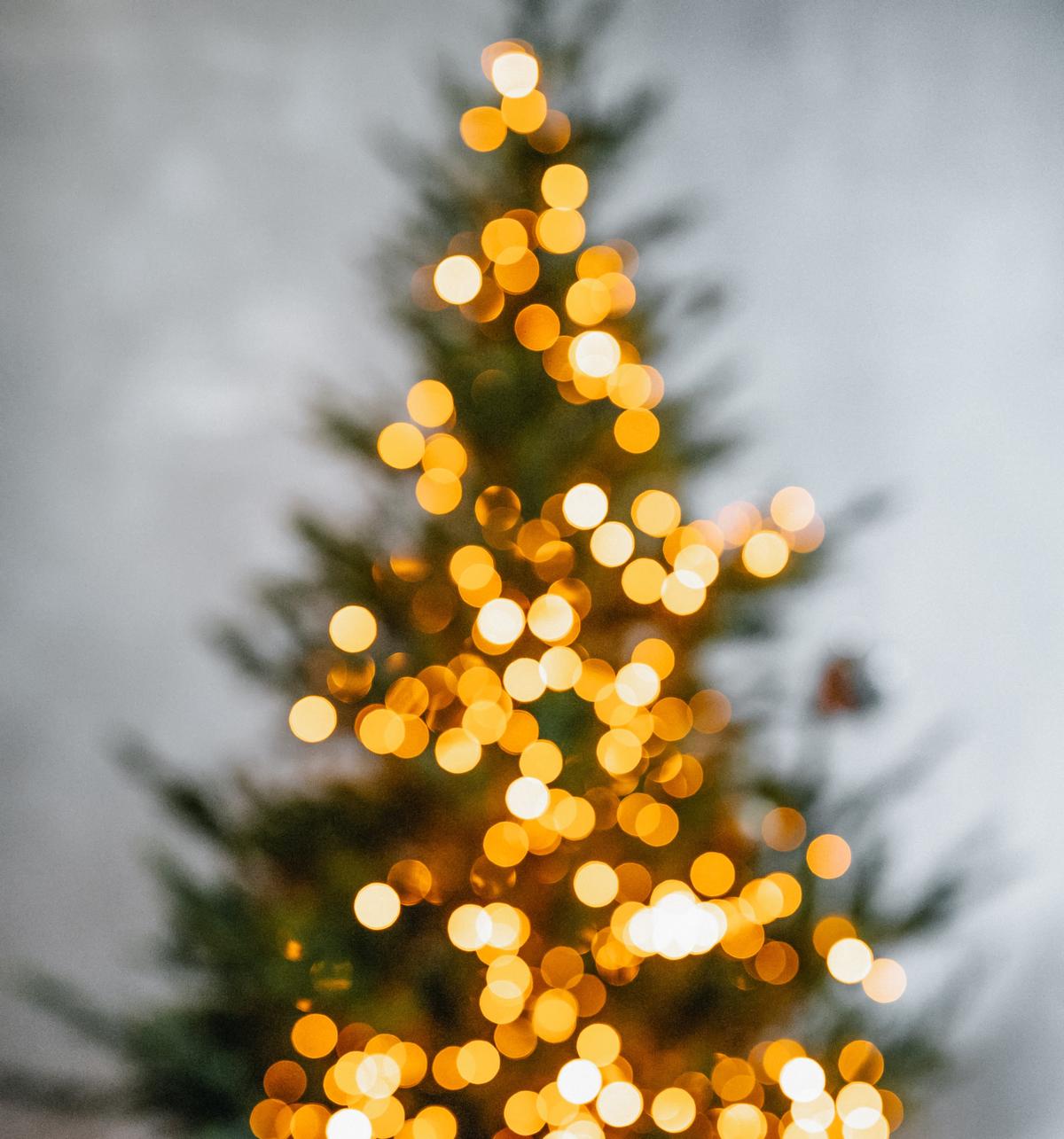 Mutlu Yıllar! (mı?)