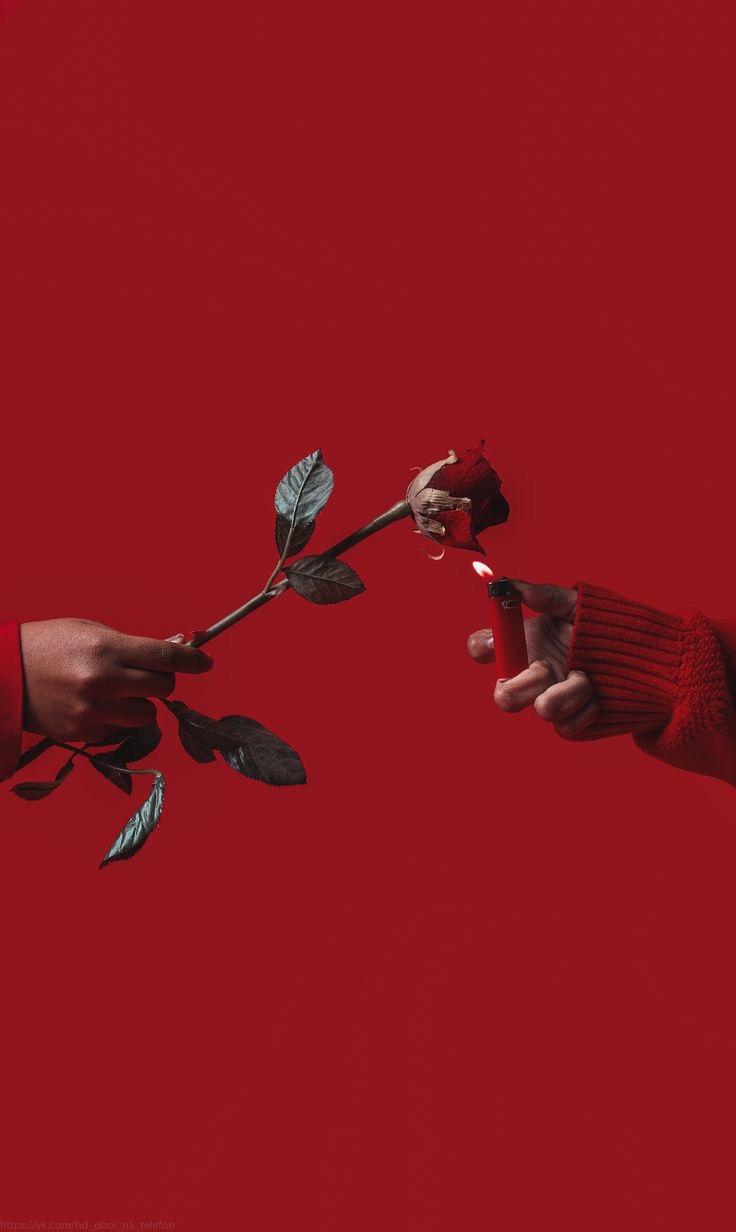 Neden medeniyet değiliz hâlâ?