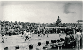 "Kupa Beyi" TOFAŞ - 1