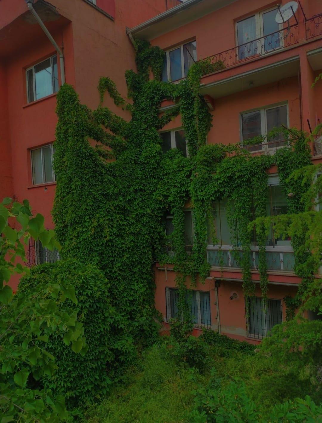 Kimine Göre Yazı Kimine Göre Şiir